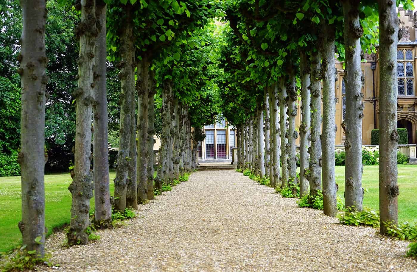 dom po realizacji zlecenia oczyszczenia powierzchni